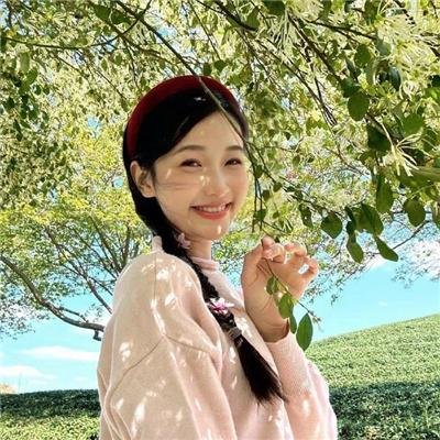 担保(韩国电影)