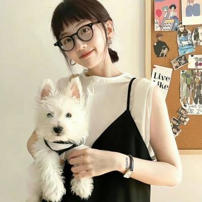特警飞龙