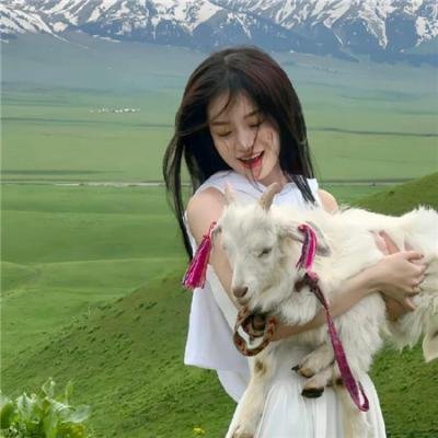 王子寻妃记2